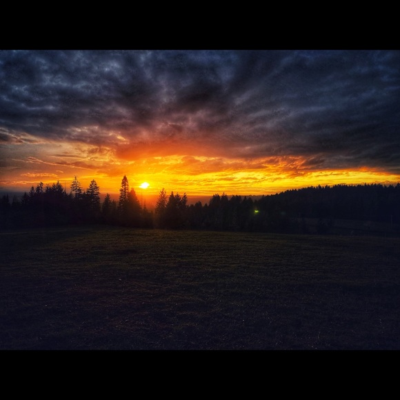 Meet your Posher, Rebecca Ball ❣️ - Picture 12 of 13